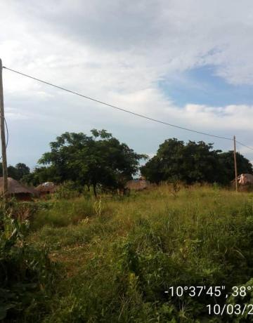 Low voltage line (220-240) V installation at Matekwe Village.The line was constructed to power more than 150 off-grid houses.