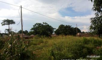 Low voltage line (220-240) V installation at Matekwe Village.The line was constructed to power more than 150 off-grid houses.